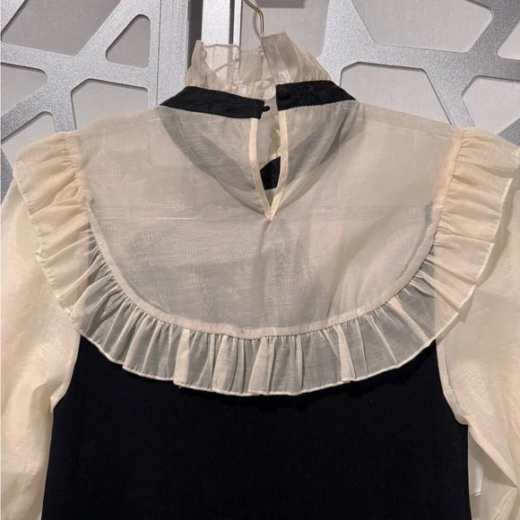 Zara Elegant Black and Cream Long Sleeve Dress - Picture 4 of 9